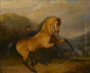 The Startled Steed