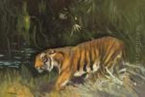 Prowling Tiger by Cuthbert Edmund Swan