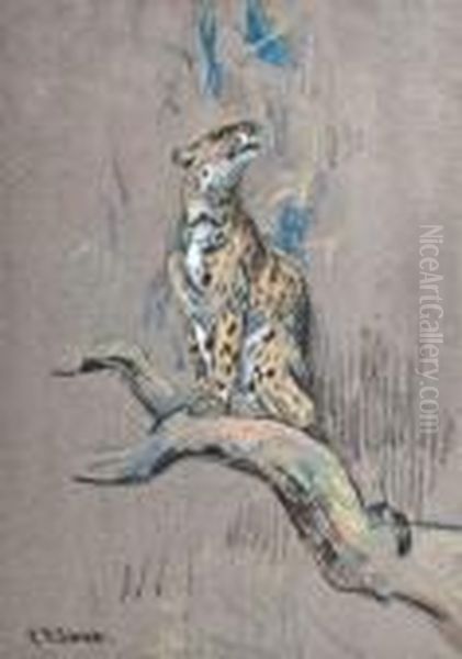 Study Of A Leopard - view 1