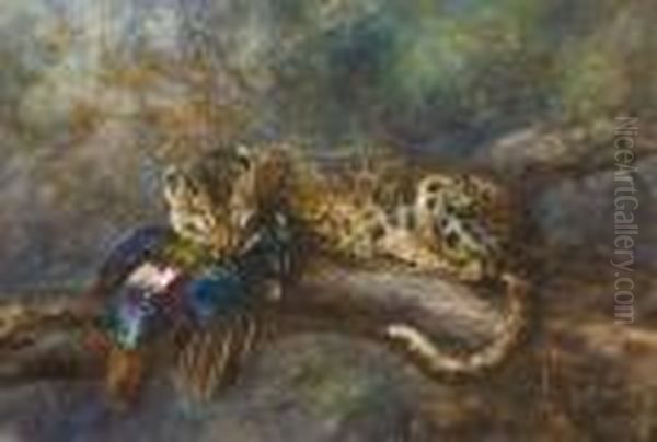 An Himalayan Leopard With Its Prey - view 1