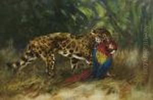 Leopard Tenant Dans Sa Gueule Un Ara by Cuthbert Edmund Swan