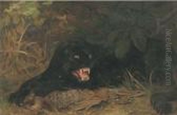 A Panther Guarding His Kill - view 1