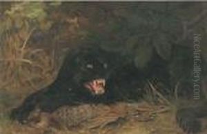 A Panther Guarding His Kill by Cuthbert Edmund Swan