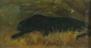 A Black Panther by Cuthbert Edmund Swan