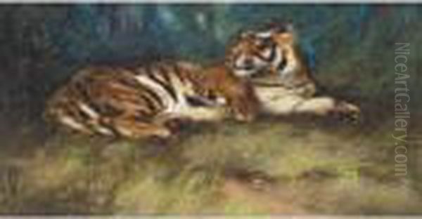 Tiger - view 1