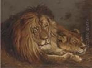 Lion And Lioness by John Macallan Swan