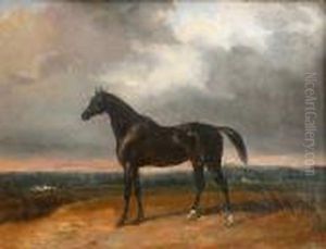 Un Cheval Bai Dans Un Paysage.