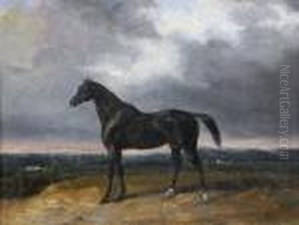 Un Cheval Bai Dans Un Paysage - view 1