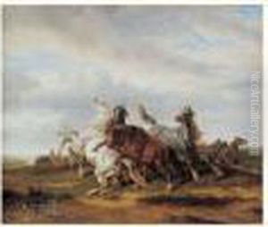 Combat De Chevaux Sauvages