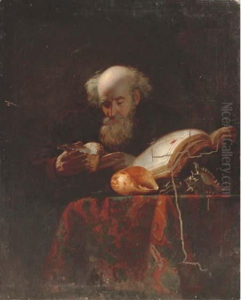 An Old Man Studying Shells - view 1