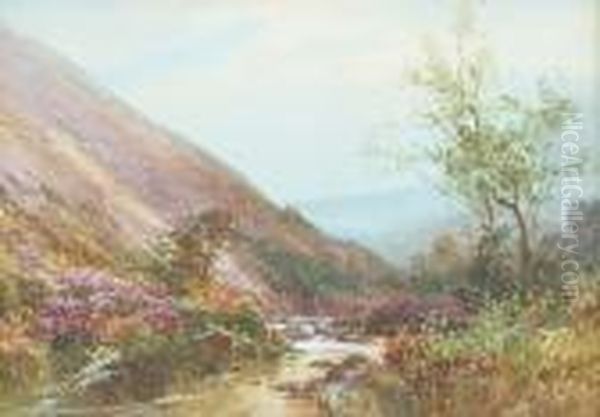 Badgworthy Water, Exmoor - view 1