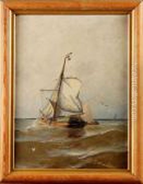 Marint Motiv - view 1