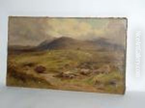 Sheep In Moorland by John Syer