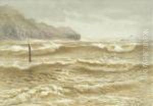 Coastal Study, Withgulls