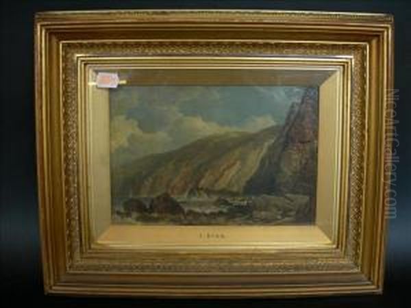 Rocky Coastal Scene - view 1