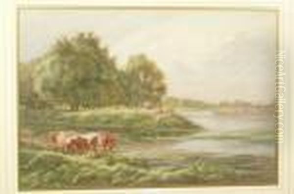 Cattle Watering In An Extensive Landscape - view 1