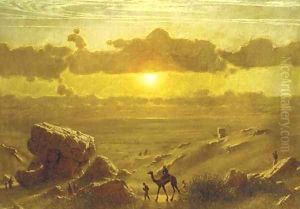 Camel trail in evening sunlight by James Fairman