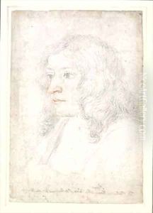 A bust length portrait of a gentleman possibly a member of the Pucci family by Baldassarre Franceschini