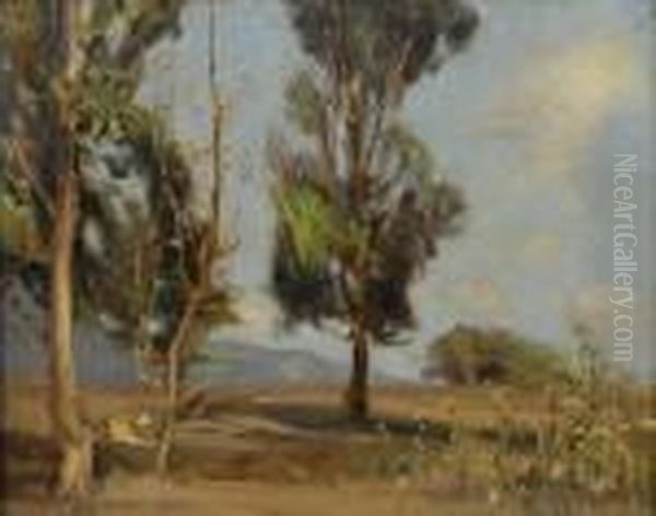 Trees In Landscape - view 1