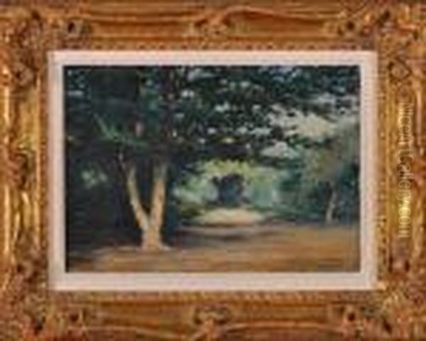 Summer Landscape - view 1