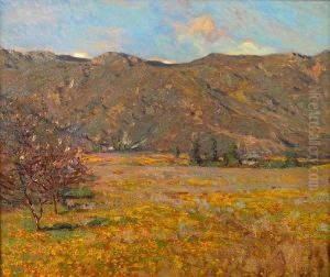 Poppies And Cherry Trees