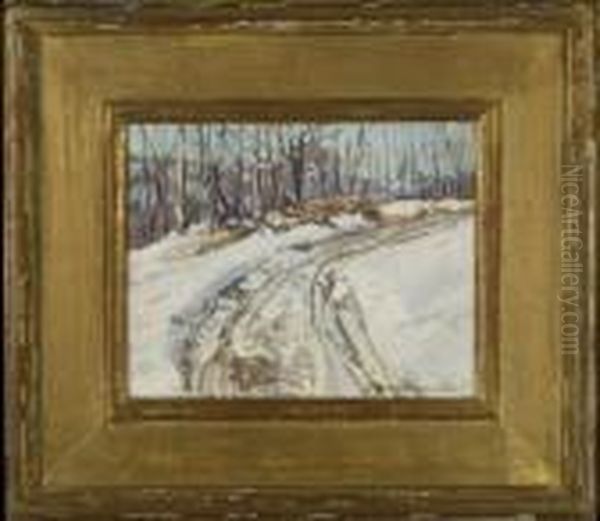 Winter Woods Trail - view 1