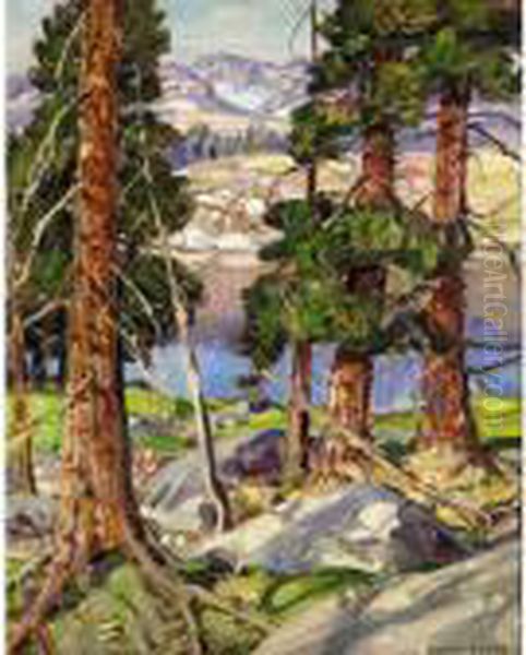 Western Pynes - view 1