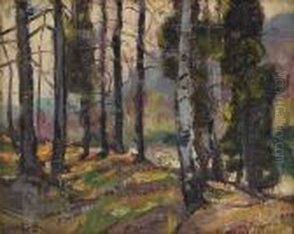 New England Forest - view 1