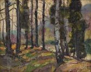 New England Forest New England Forest