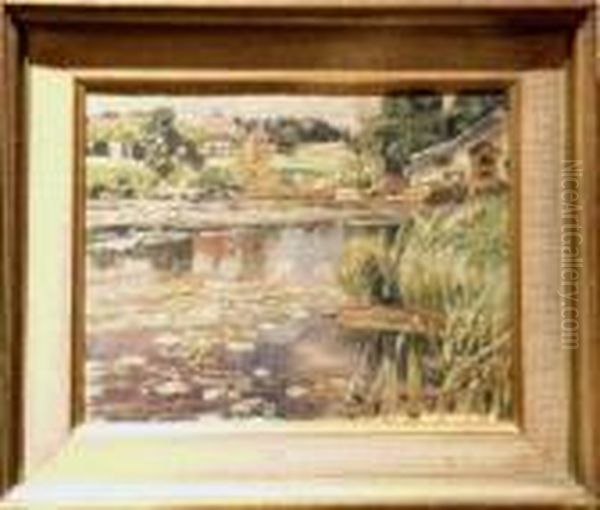 Lily Pond - view 1