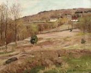 Hillside And Deep Ravine