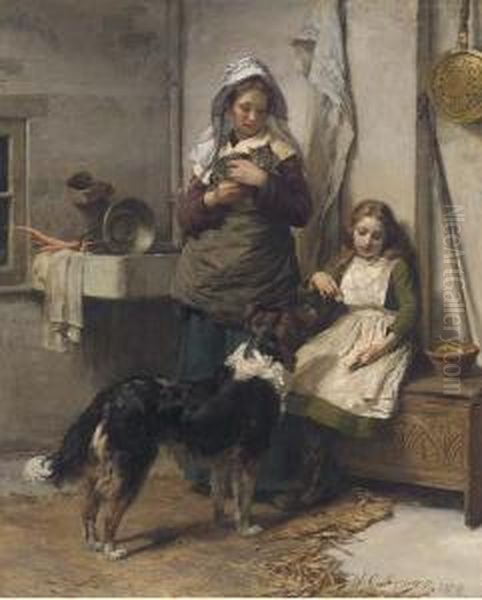 The Favourite Pet - view 1