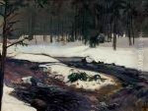 Strumien W Lesie by Henryk Szczyglinski