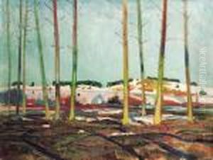 Wiosna by Henryk Szczyglinski