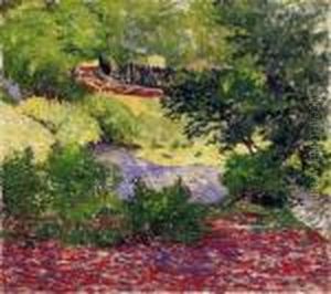 Sunny Brookside In Nagybanya