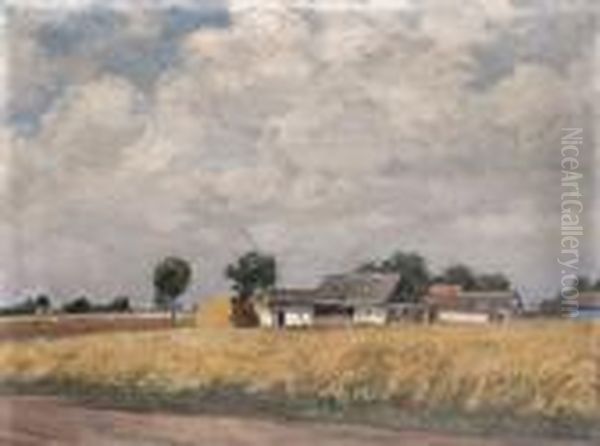 Alfoldi Tanya - view 1