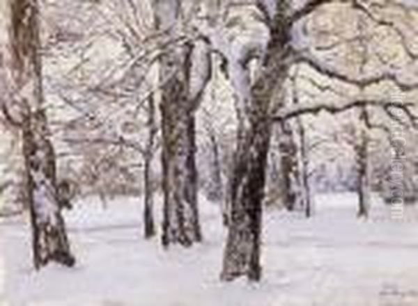 Margitsziget In Winter - view 1