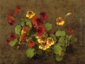 Nasturtiums