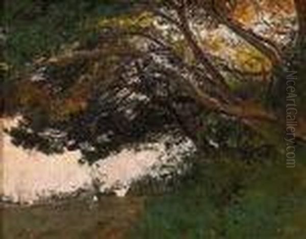 Paisaje - view 1