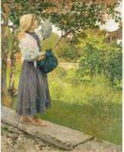 Picking Oranges