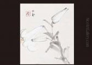 White Lilies