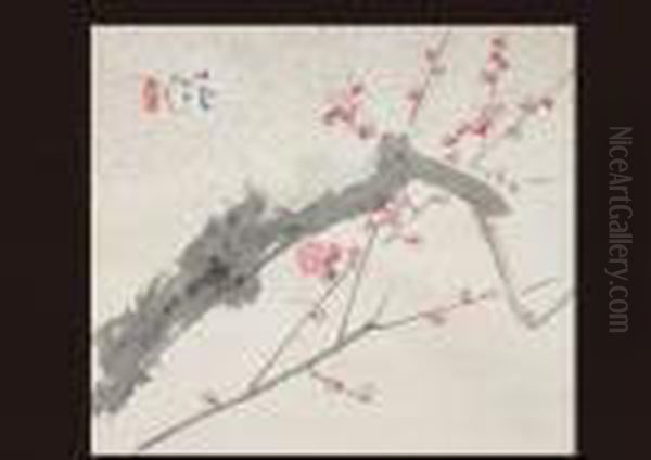 Red Plum - view 1
