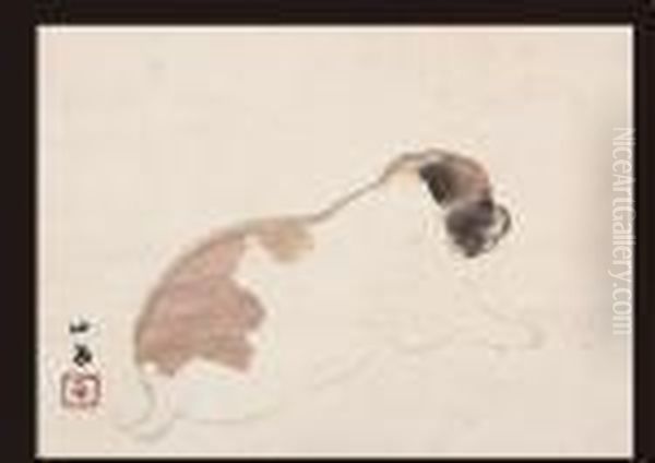 Puppy - view 1
