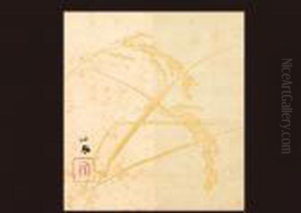 Rice - view 1
