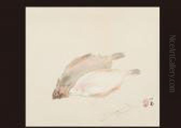 Flatfish - view 1