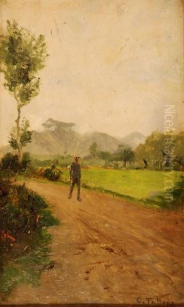 Strada Di Campagna - view 1