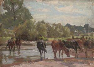 New Forest Ponies At Tyrell's Ford