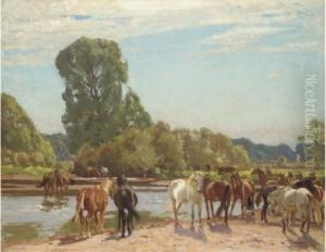 New Forest Ponies At Tyrrell's Ford