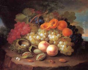 Still Life with Fruit and Bird's Nest