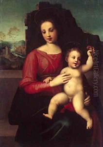 Madonna with Child by Francesco Franciabigio